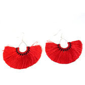 Red fancy earrings