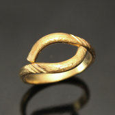 Fancy bronze ring